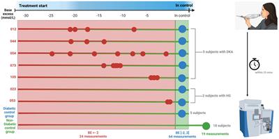 Metabolic trajectories of diabetic ketoacidosis onset described by breath analysis